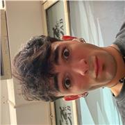 diplomato al liceo linguistico, anno all’estero usando lingua inglese durante il 4^ anno di liceo